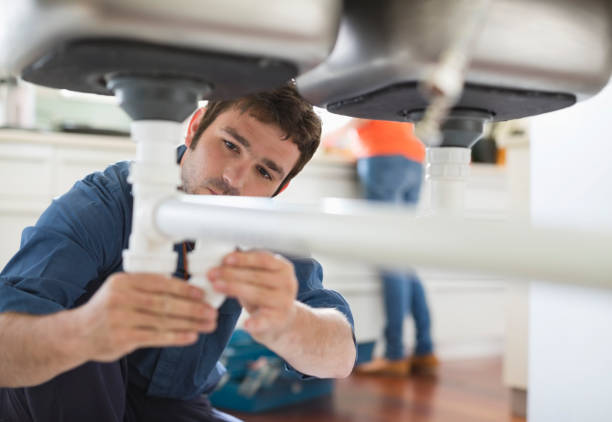 Best Best Plumbers Near Me  in Elmer, NJ