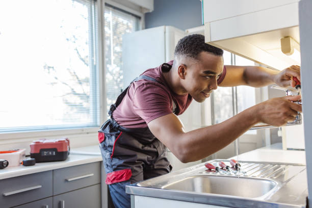 Best Local Plumber Services  in Elmer, NJ